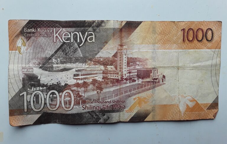 Under Shadow of Trump Warning, Africa Pioneers Non-Dollar Payment Systems