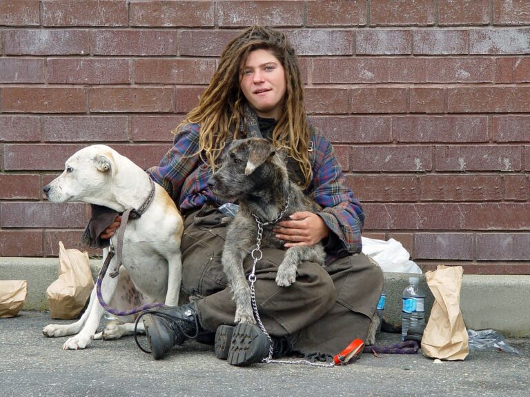 Trump’s New Homelessness Plan: Tough Love or Heartless Policy?